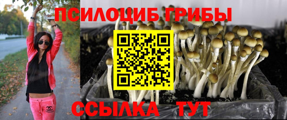 Чебаркуль  Галлюциногенные грибы ЛСД  Вход с VPN  сколько стоит  Галлюциногенные грибы Cubensis 