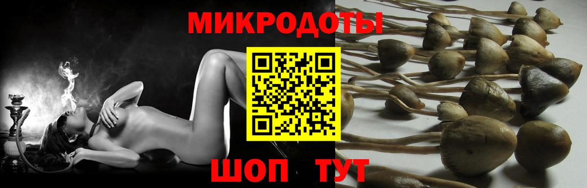 Псилоцибиновые грибы Psilocybe Чебаркуль